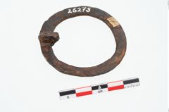 Foto von Eisenring (NHMW-PRAE-026275)